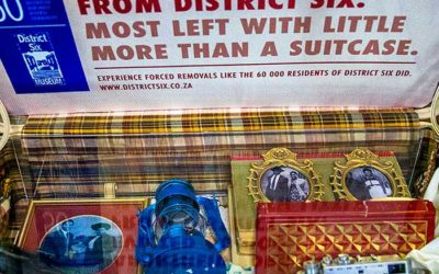 Suitcase Project – Telling your story to a born free